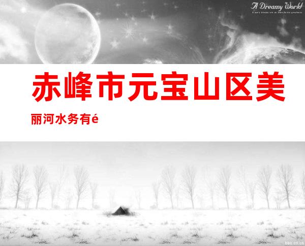 赤峰市元宝山区美丽河水务有限公司