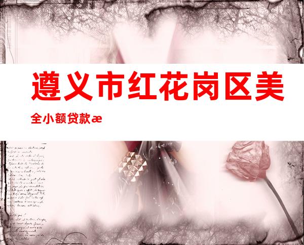 遵义市红花岗区美全小额贷款有限公司