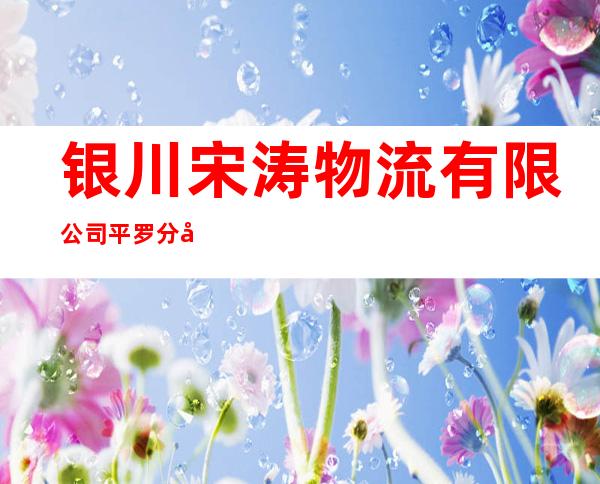 银川宋涛物流有限公司平罗分公司