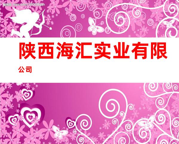 陕西海汇实业有限公司