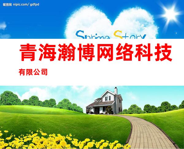青海瀚博网络科技有限公司