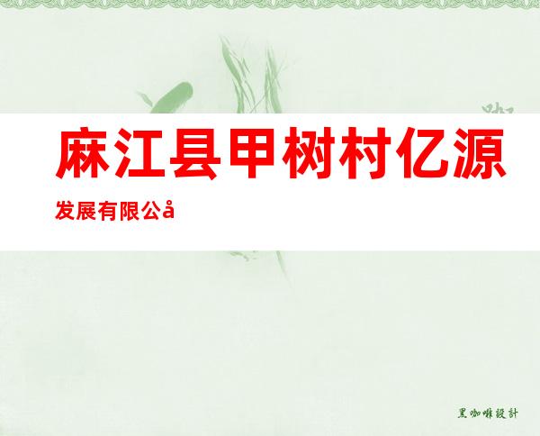 麻江县甲树村亿源发展有限公司