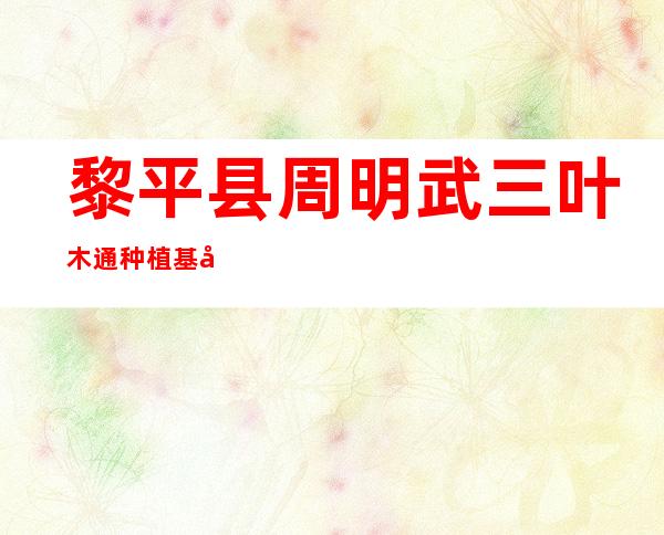 黎平县周明武三叶木通种植基地