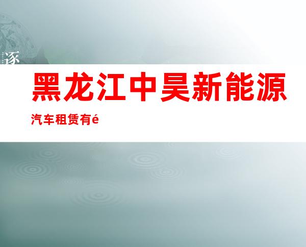 黑龙江中昊新能源汽车租赁有限公司明水分公司