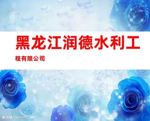 黑龙江润德水利工程有限公司