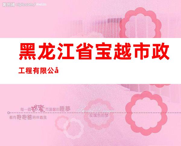 黑龙江省宝越市政工程有限公司