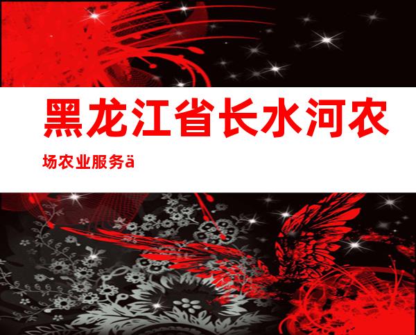 黑龙江省长水河农场农业服务中心