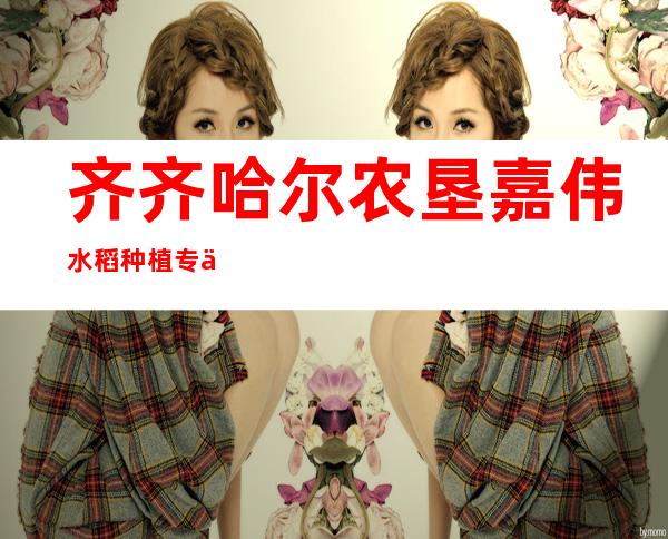 齐齐哈尔农垦嘉伟水稻种植专业合作社